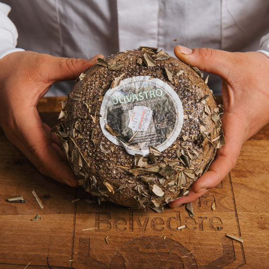 Pecorino Ulivastro